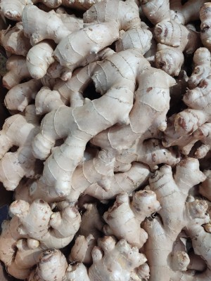 Foto Zenzero Confezione da 13 Kg Origine Brasile Marchio Mns 2