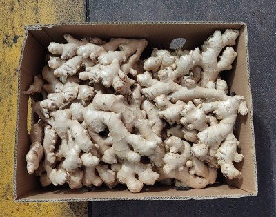 Foto Zenzero Confezione da 13 Kg Origine Brasile Marchio Mns 3